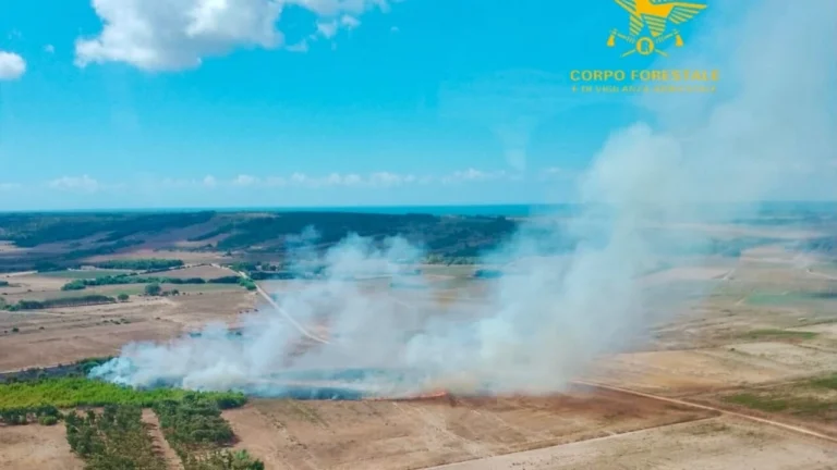 incendio-riola